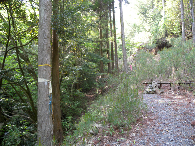 e0272335_17514854.jpg