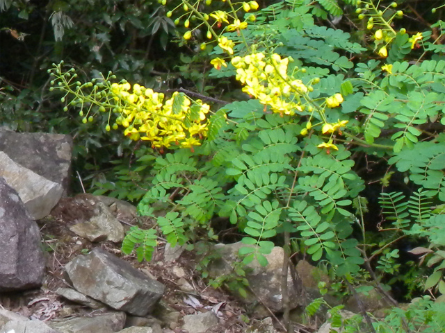 e0272335_17532541.jpg