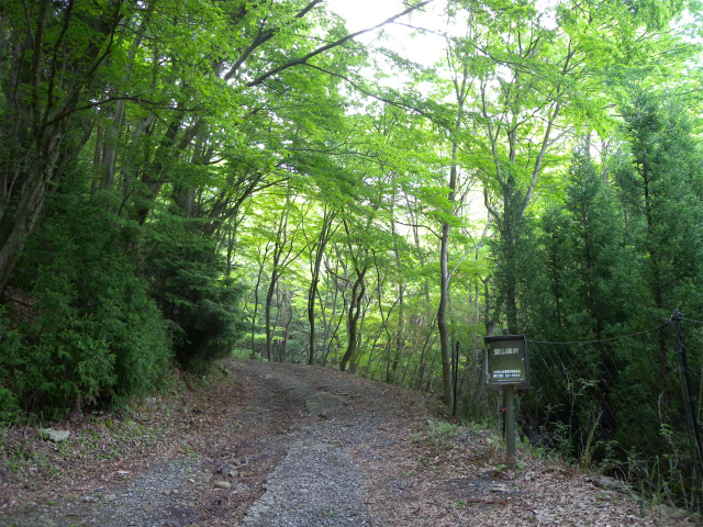 e0272335_17552891.jpg