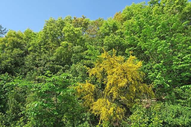 a0242438_2024544.jpg