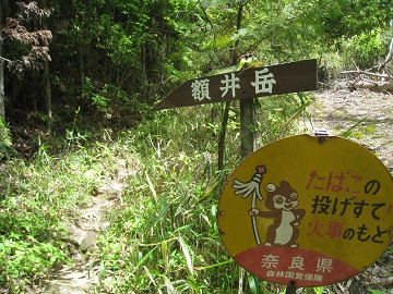 c0077338_18555780.jpg