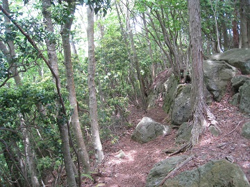 c0077338_18561838.jpg