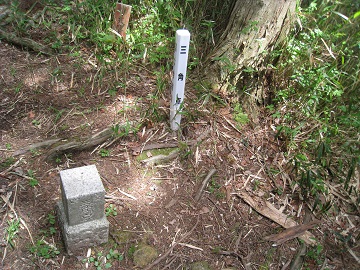 c0077338_1856874.jpg