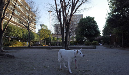 a0117039_22442129.jpg