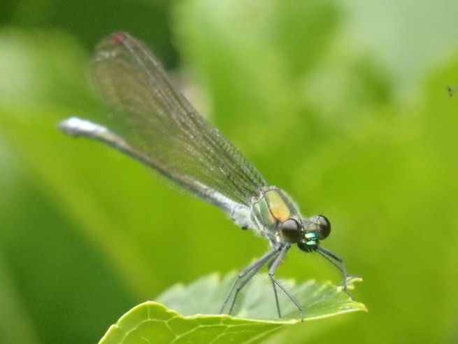 a0054240_21473996.jpg
