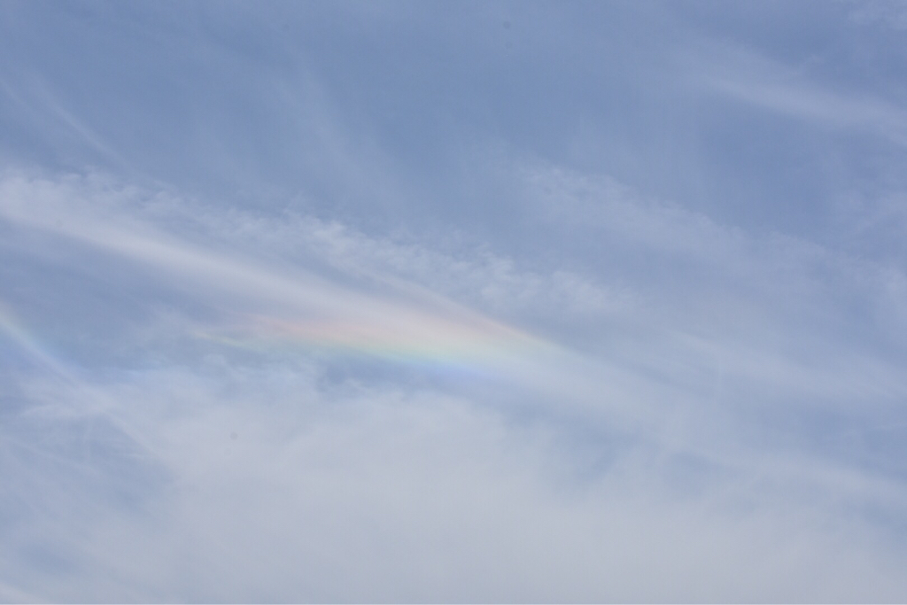 a0343740_18575617.jpg