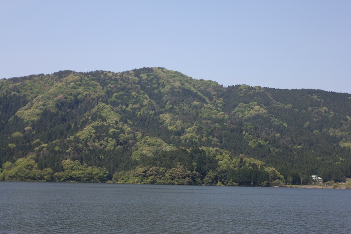 a0060941_0104144.jpg
