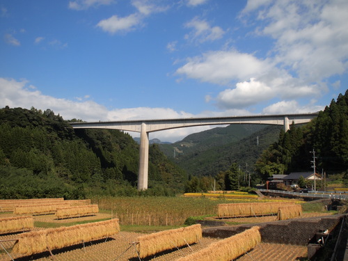 b0199742_682386.jpg