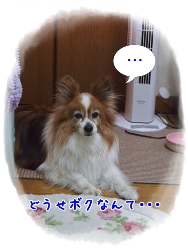 d0013149_23324248.jpg