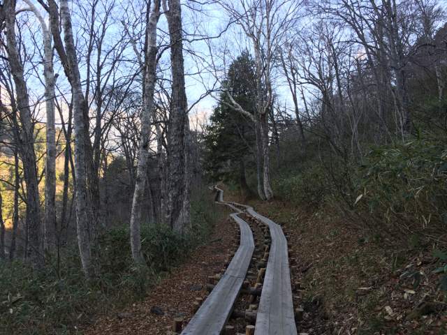 e0329049_20022945.jpg
