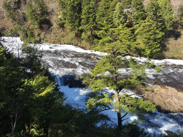 e0329049_20411196.jpg
