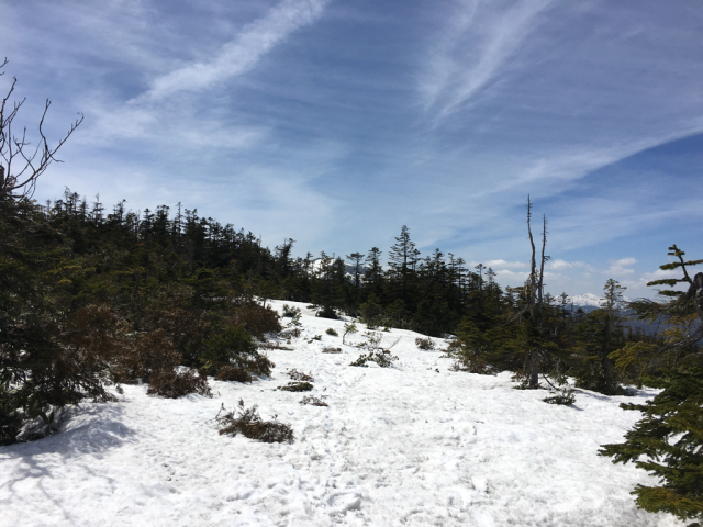 e0329049_20484929.jpg