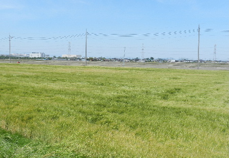e0172950_19335884.jpg