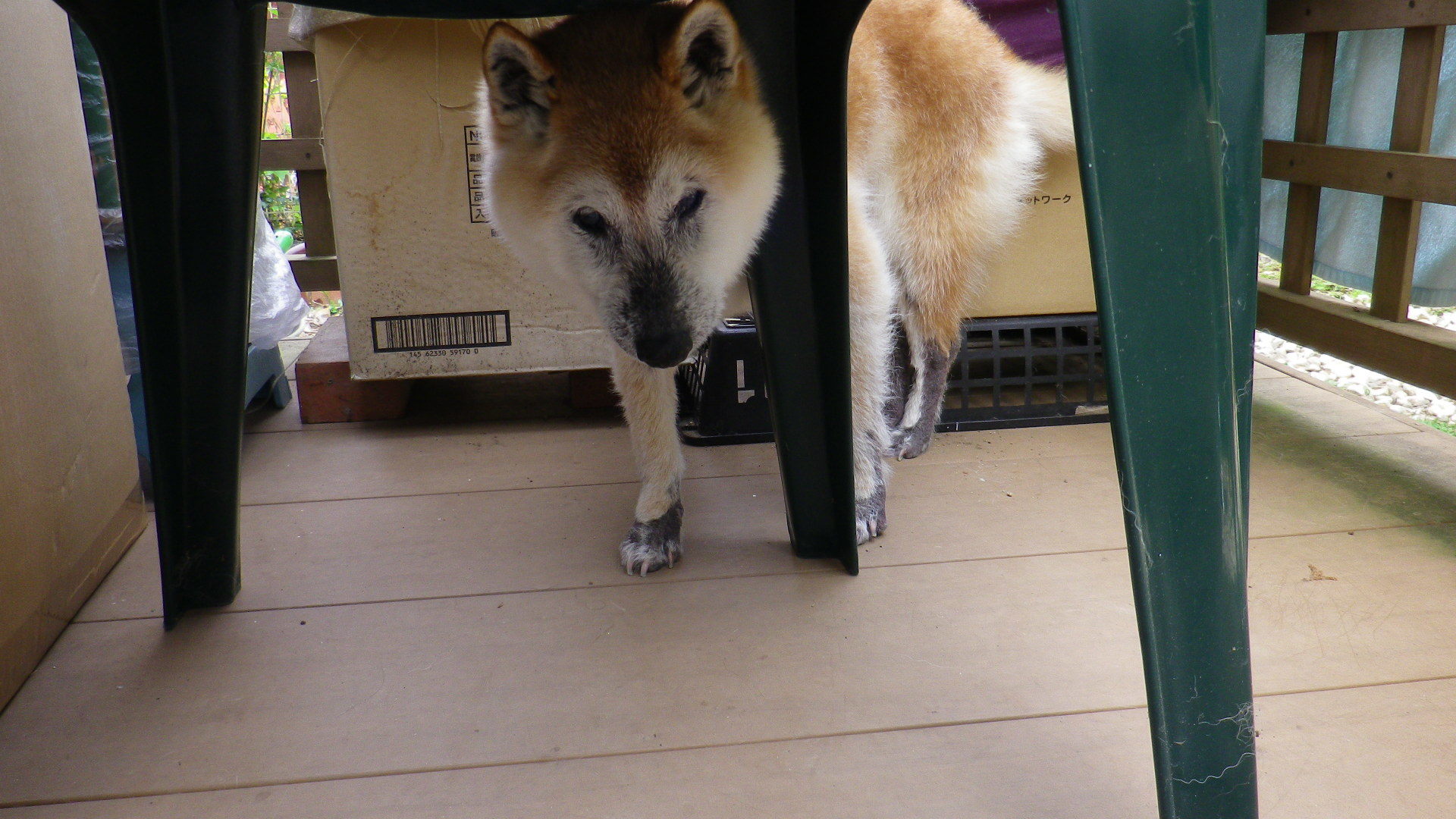 a0340852_14310351.jpg