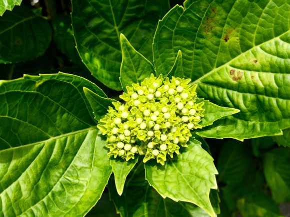 a0212754_12311912.jpg