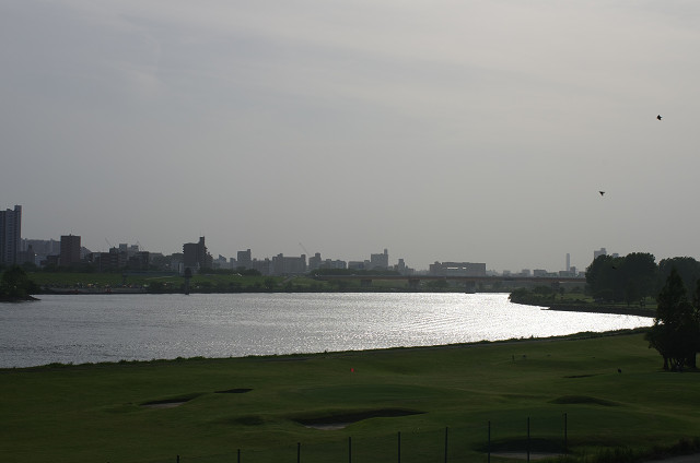 c0080357_1952951.jpg