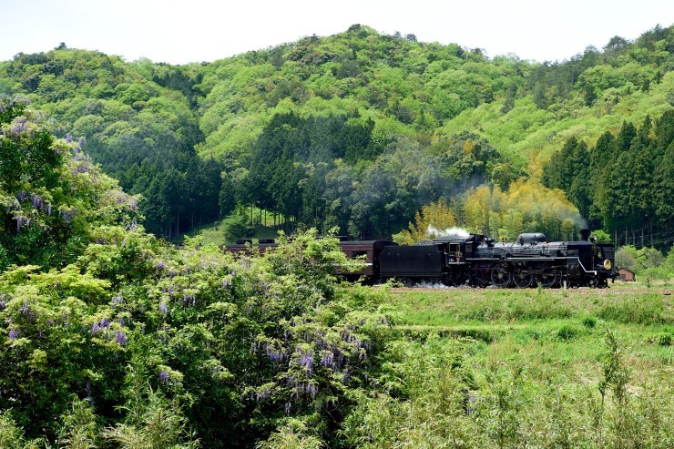 d0336159_17213108.jpg