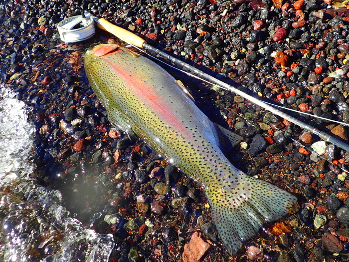 e0212759_21413781.jpg