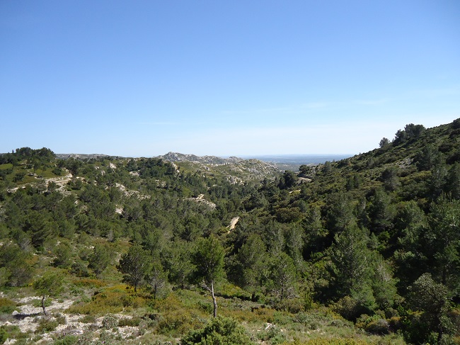 d0153860_2332525.jpg