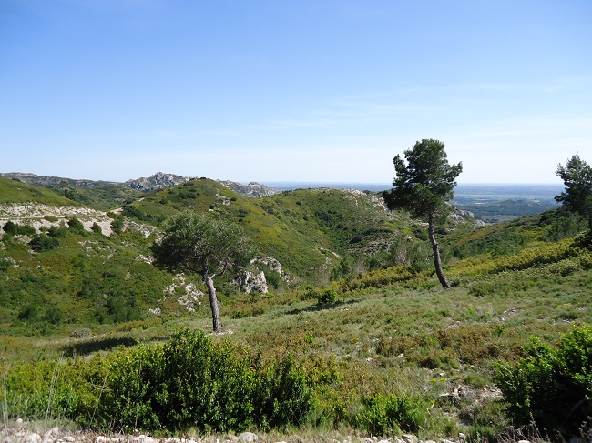 d0153860_234022.jpg
