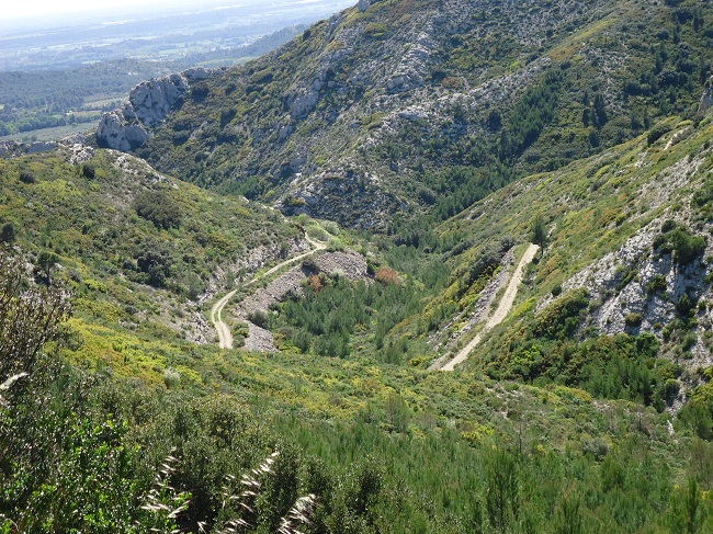 d0153860_234583.jpg