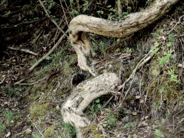 c0219162_19555947.jpg