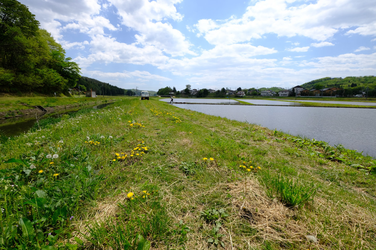 c0084666_07361859.jpg