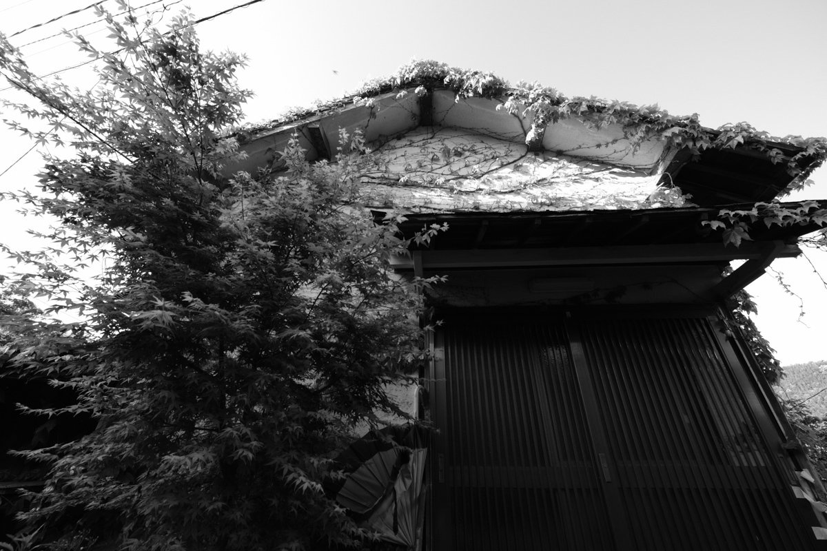 c0084666_09272135.jpg