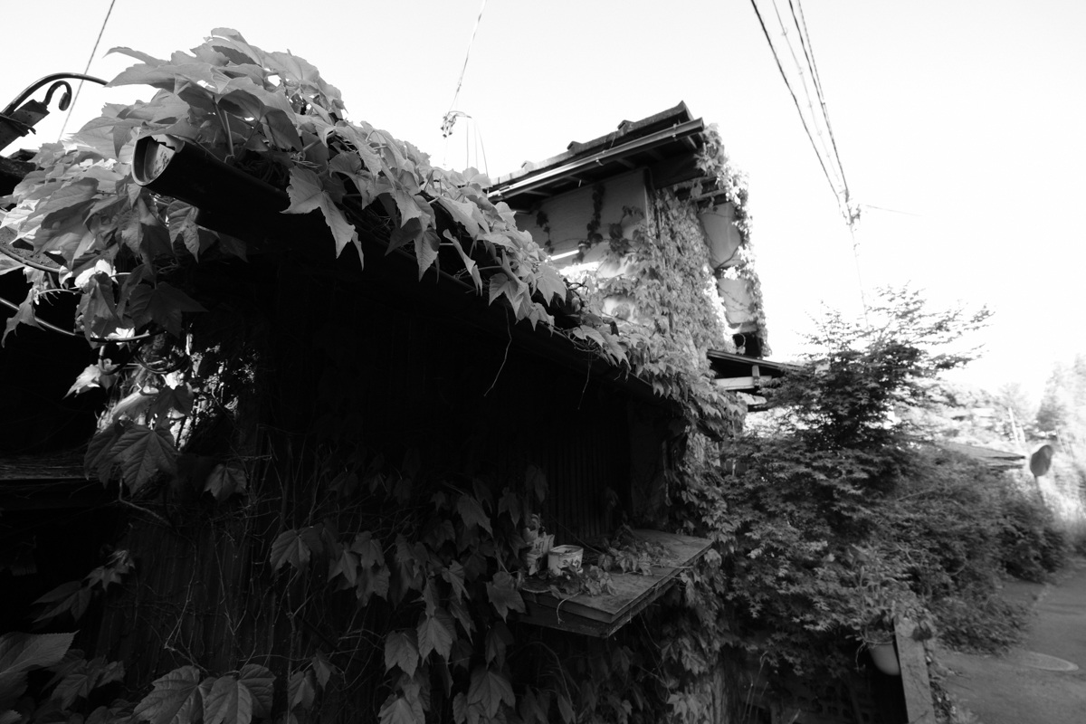 c0084666_09272156.jpg