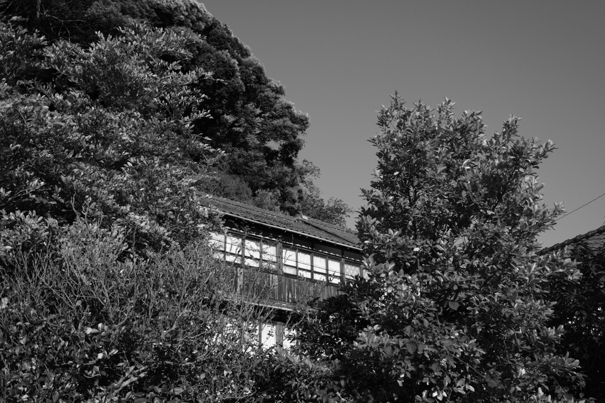 c0084666_09400751.jpg