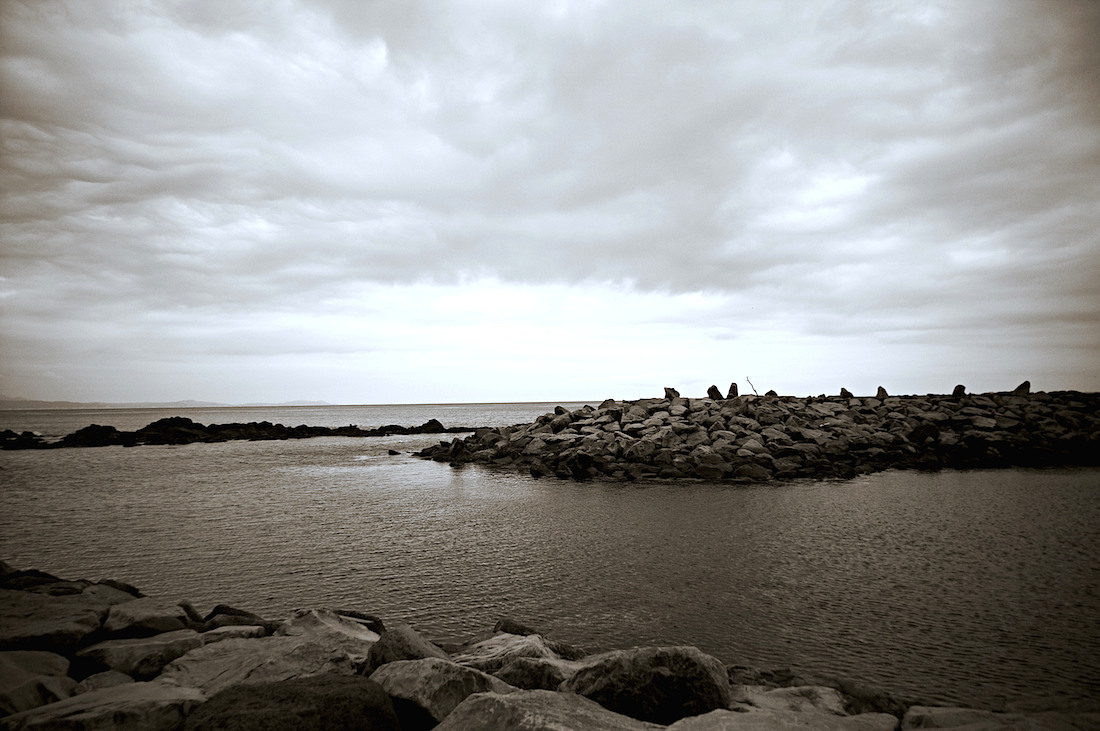 d0175768_22181655.jpg