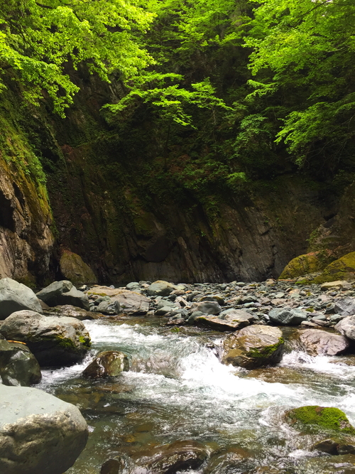 f0235668_2051250.jpg