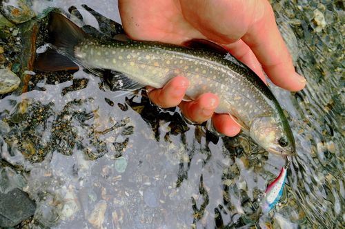 f0235668_20591241.jpg