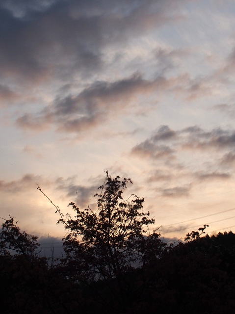 d0042474_11390075.jpg