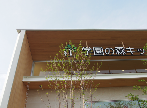 d0187875_1941251.png