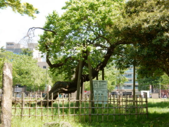 e0355177_14074822.jpg
