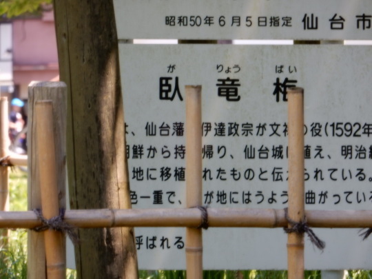 e0355177_14081665.jpg