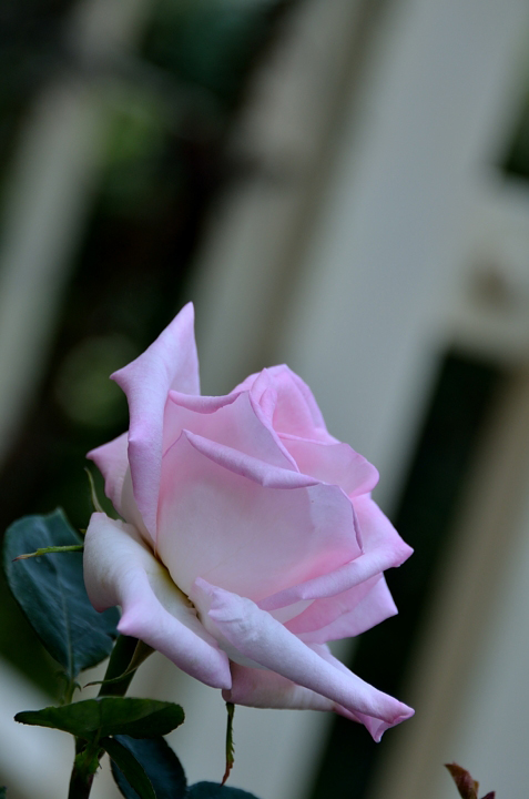 f0108478_22552460.jpg