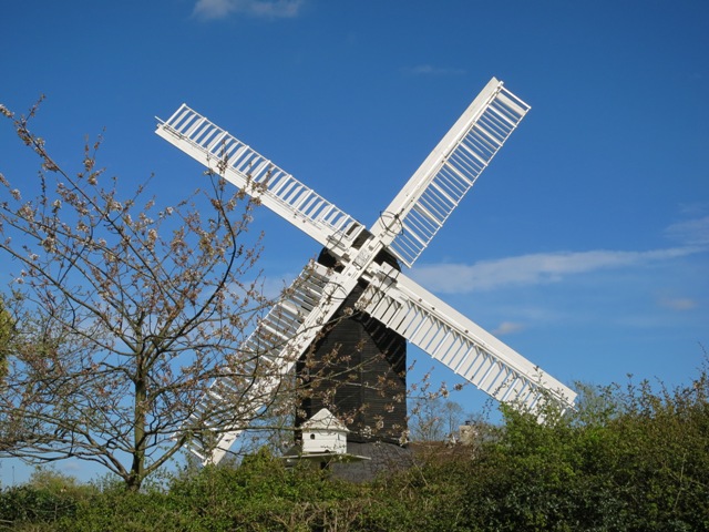 a0208783_527069.jpg