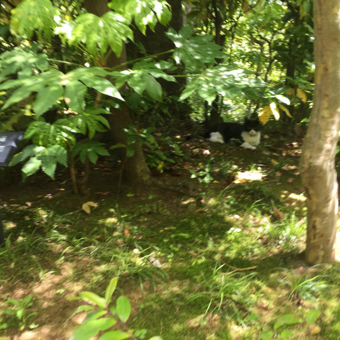 b0122485_16505185.jpg