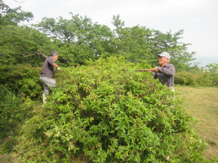 f0053885_20005107.jpg