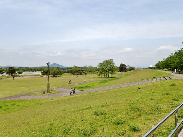 f0310988_8295332.jpg