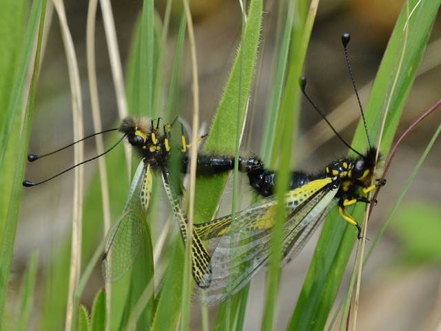 f0310988_8394010.jpg