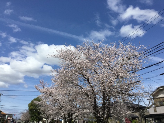 b0183389_21465179.jpg