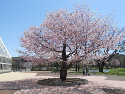 e0148889_15113433.jpg