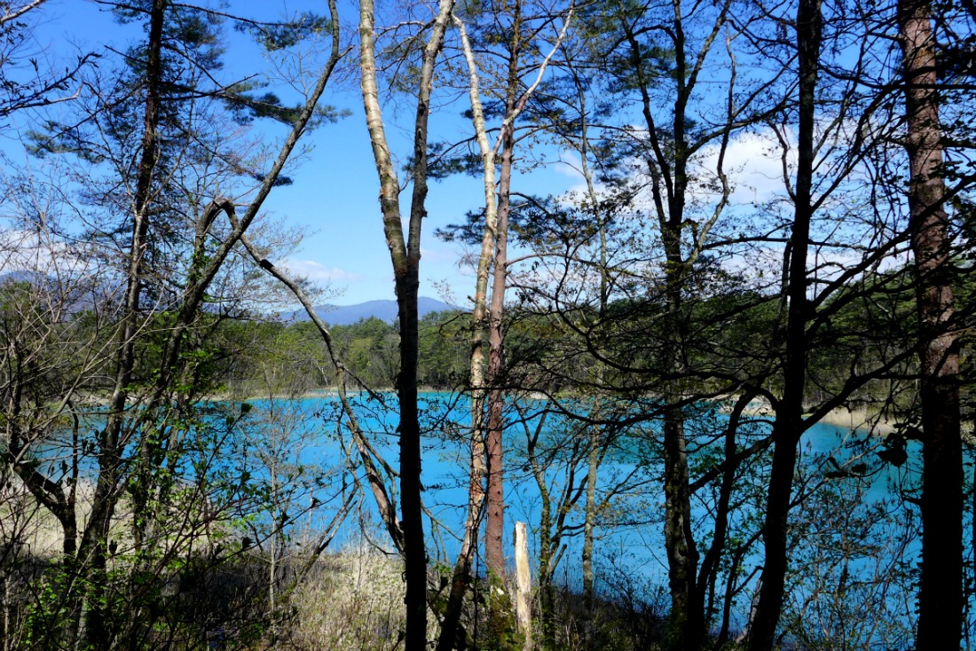 a0127090_8514023.jpg