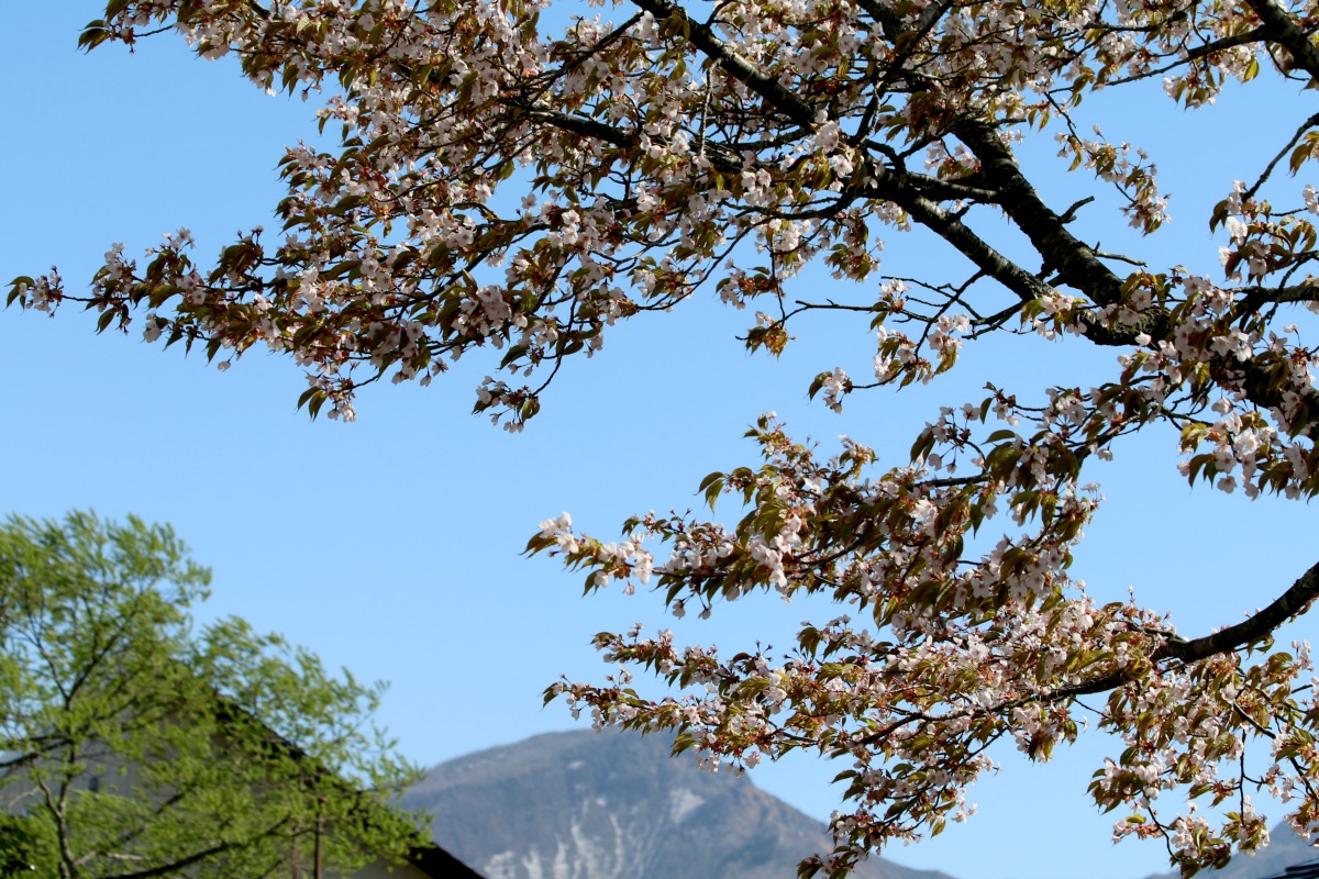 a0127090_9103533.jpg