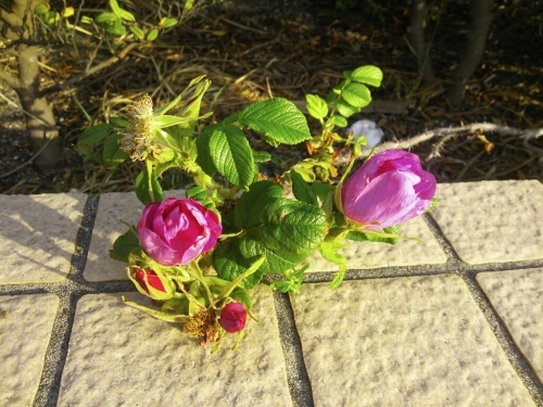 c0128896_20591875.jpg