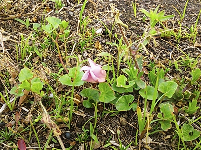 c0128896_20593210.jpg