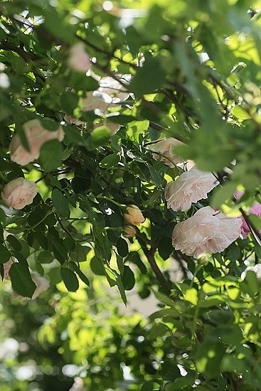 e0209997_1385216.jpg